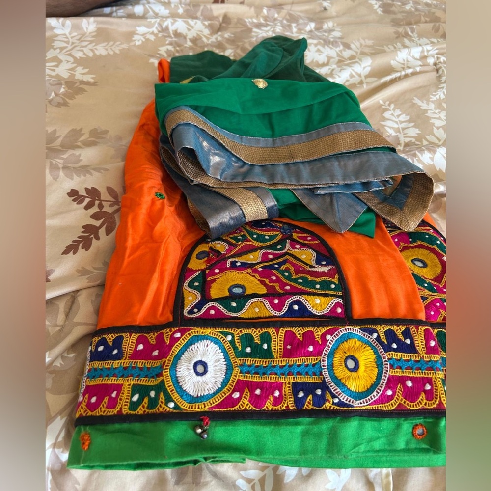 Colorful Embroidered Lengha - Picture 4 of 4